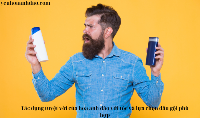 Tác dụng tuyệt vời của hoa anh đào với tóc và lựa chọn dầu gội phù hợp